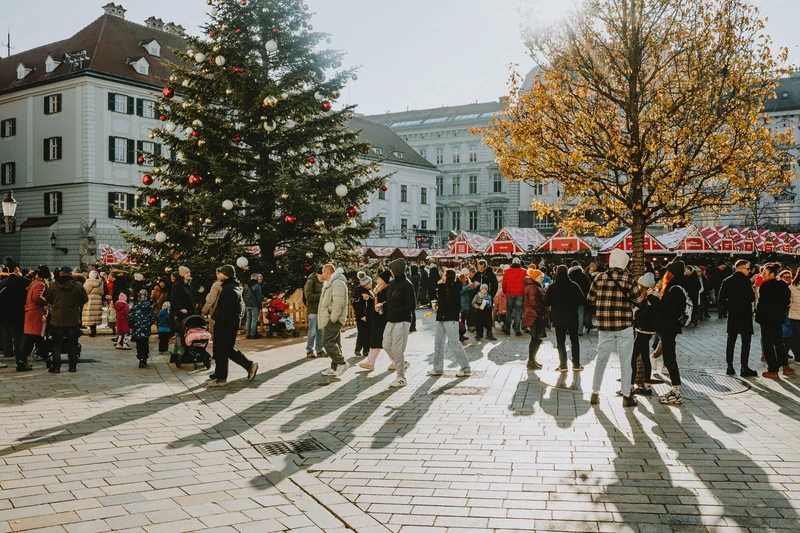 Affiche de Les chalets du marché de Noël